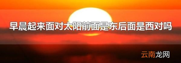 早晨起来面对太阳前面是东后面是西对吗