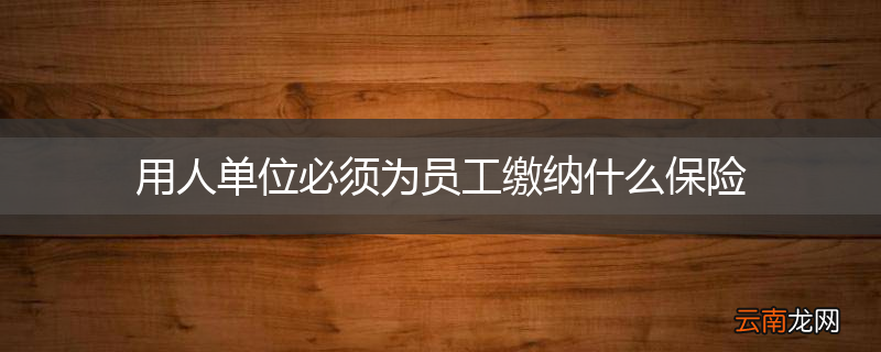 用人单位必须为员工缴纳什么保险