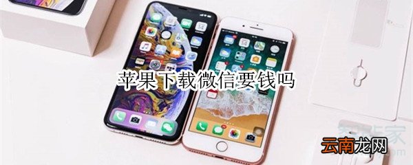 苹果下载微信要钱吗
