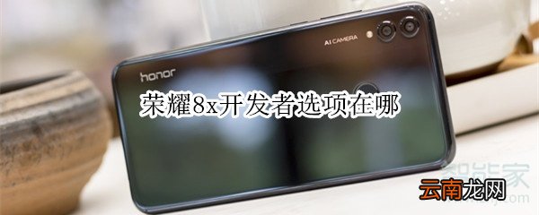 荣耀8x开发者选项在哪