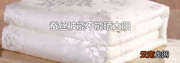蚕丝被能不能晒太阳