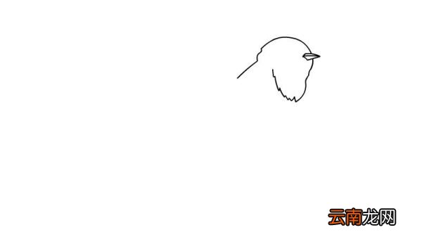 燕子简笔画 燕子怎么画