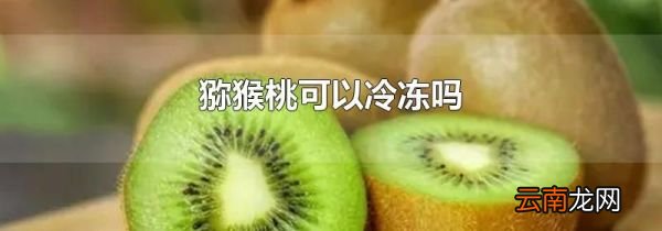 猕猴桃可以冷冻吗