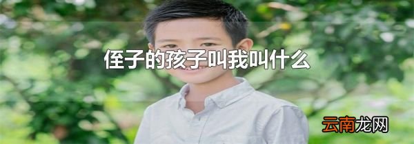 侄子的孩子叫我叫什么