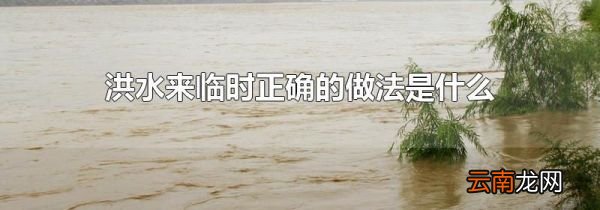 洪水来临时正确的做法是什么