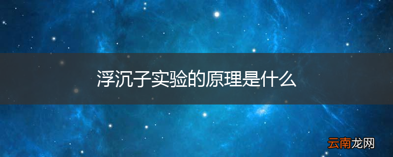 浮沉子实验的原理是什么