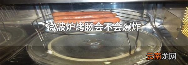 微波炉烤肠会不会爆炸