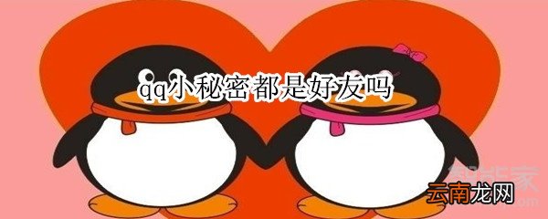 qq小秘密都是好友吗