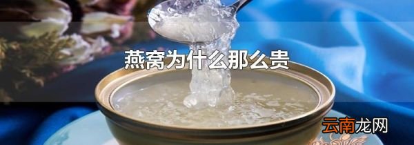 燕窝为什么那么贵