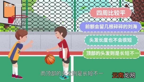 寸头有几种 寸头有几种类型