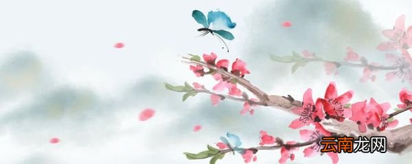 咏素蝶诗诗词鉴赏 咏素蝶诗鉴赏