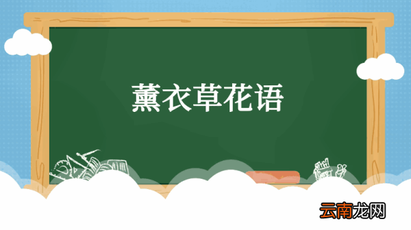 薰衣草花语 薰衣草花语是什么