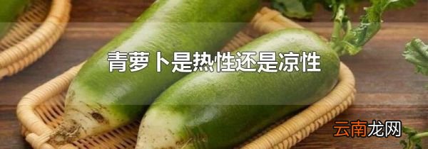 青萝卜是热性还是凉性