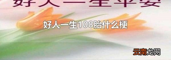 好人一生108胎什么梗