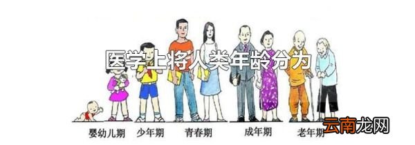 医学上将人类年龄分为