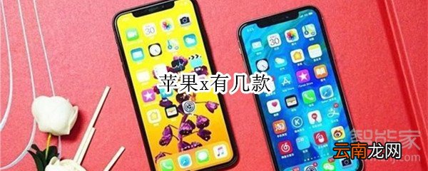 苹果x有几款