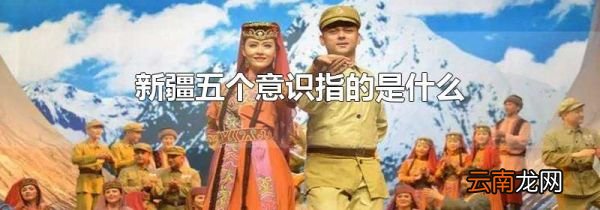 新疆五个意识指的是什么