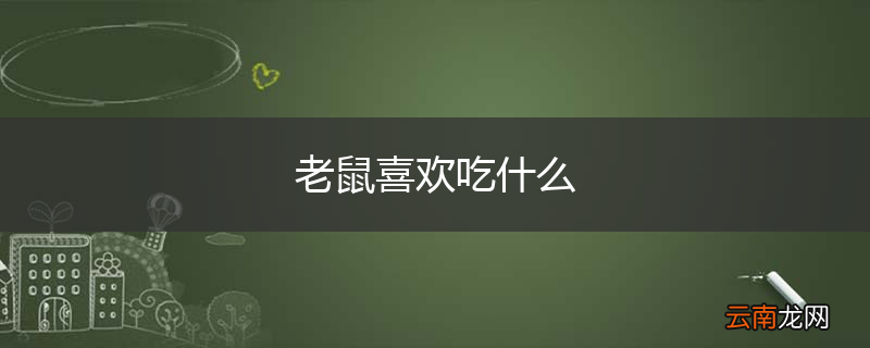 老鼠喜欢吃什么