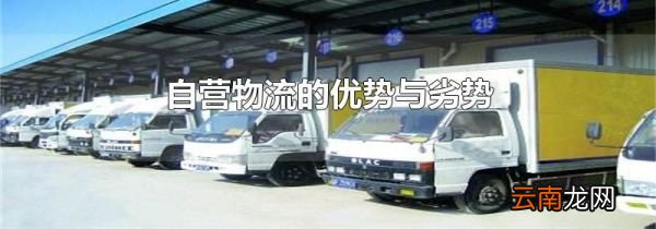 自营物流的优势与劣势