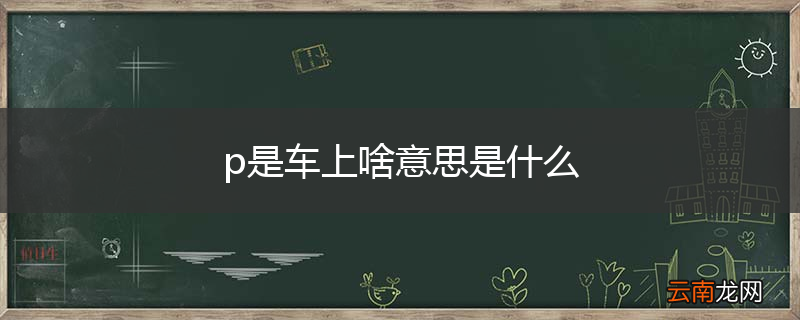 p是车上啥意思是什么