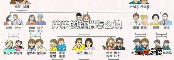 弟弟的称谓怎么填