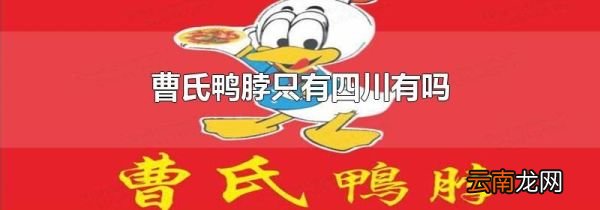 曹氏鸭脖只有四川有吗
