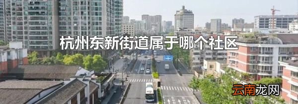 杭州东新街道属于哪个社区