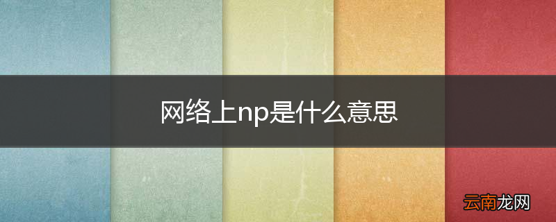 网络上np是什么意思