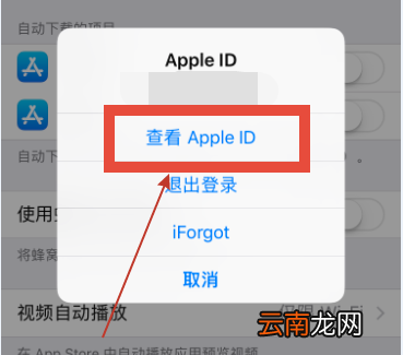 苹果手机自动续费的要在哪里关闭