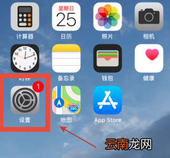 苹果手机自动续费的要在哪里关闭