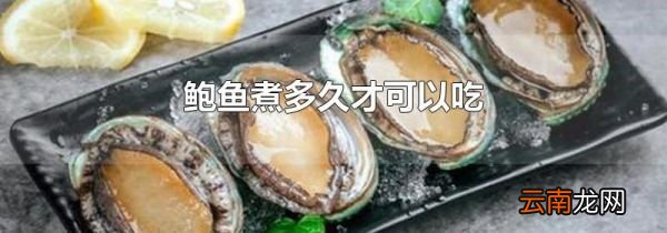 鲍鱼煮多久才可以吃