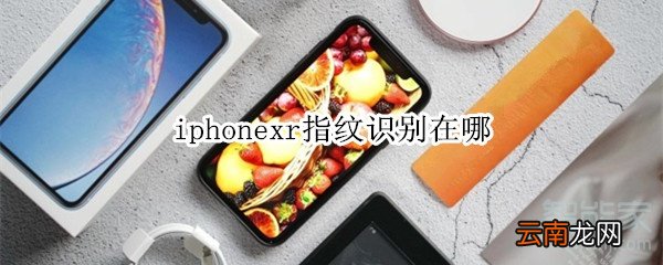 iphonexr指纹识别在哪