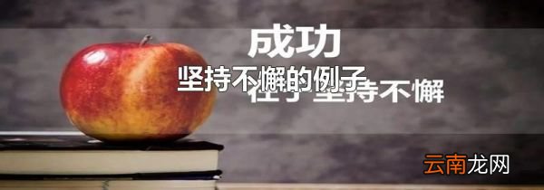 坚持不懈的例子