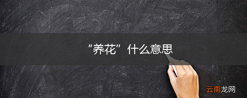 “养花”什么意思