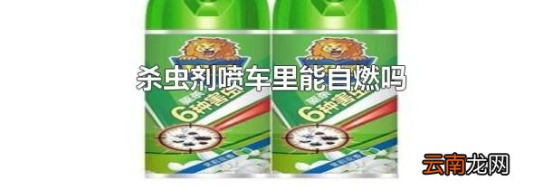 杀虫剂喷车里能自燃吗