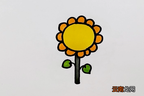 太阳花简笔画