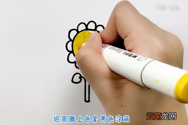 太阳花简笔画