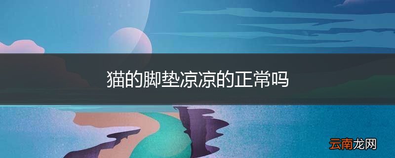 猫的脚垫凉凉的正常吗