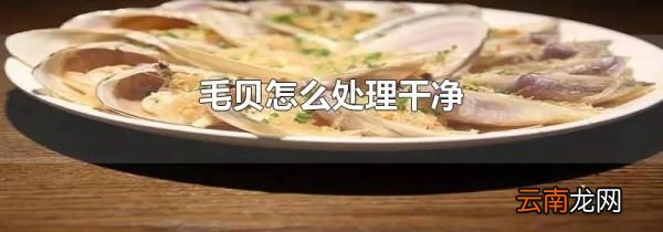 毛贝怎么处理干净