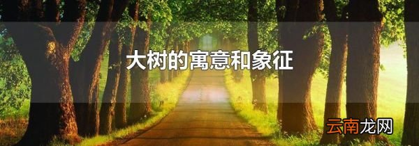 大树的寓意和象征