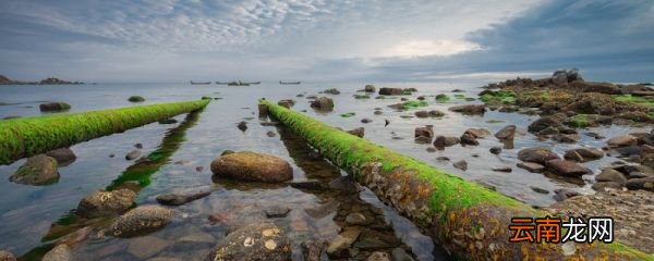 水管被水垢堵了怎么办 水垢堵塞水管如何疏通