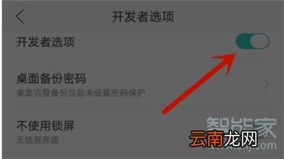 oppoa9怎么关闭开发者模式