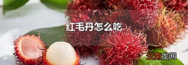 红毛丹怎么吃