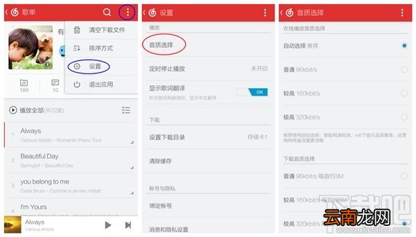 网易云音乐怎么下载歌曲