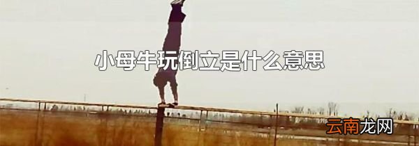 小母牛玩倒立是什么意思