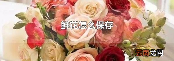 鲜花怎么保存