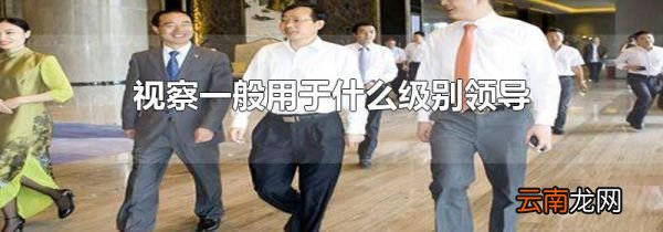 视察一般用于什么级别领导