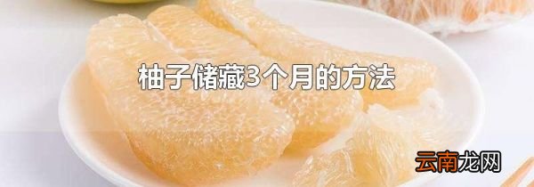 柚子储藏3个月的方法