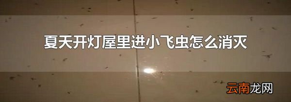 夏天开灯屋里进小飞虫怎么消灭