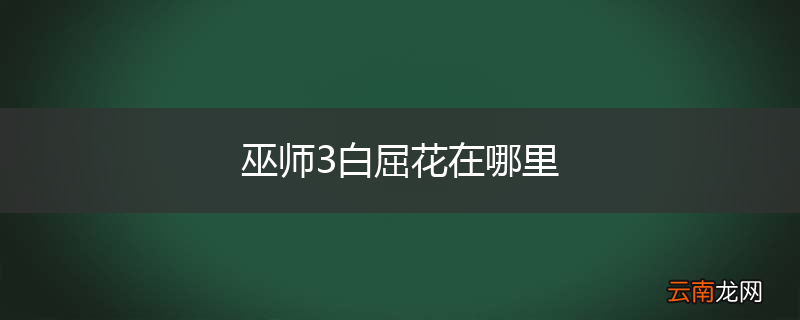 巫师3白屈花在哪里